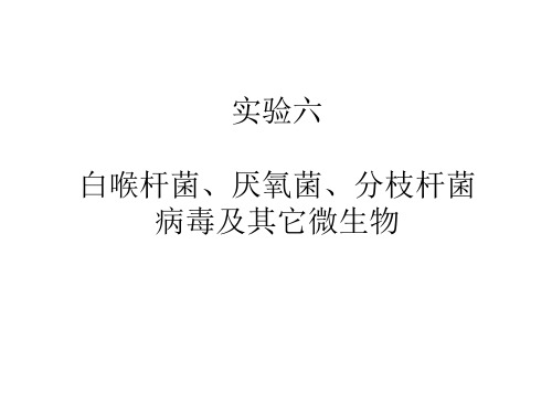 (病原生物与免疫学实验)实验六白喉杆菌、厌氧菌、分枝杆菌病毒及其它微生物