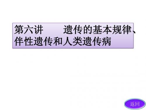 7 遗传的基本规律、伴性遗传、人类遗传病