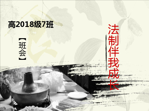 法制伴我成长——主题班会