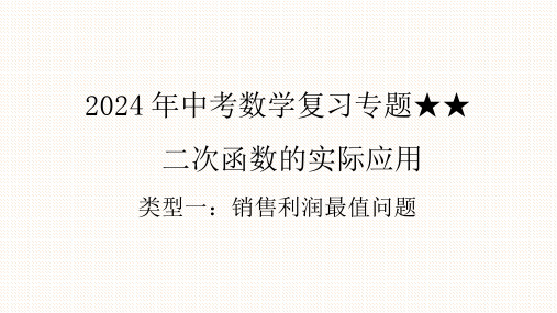 2024年九年级中考数学复习专题课件二次函数的实际应用