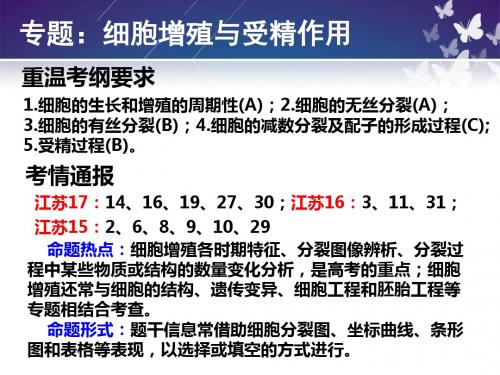 高三生物二轮复习《细胞增殖 》 专题复习课件(37张PPT)