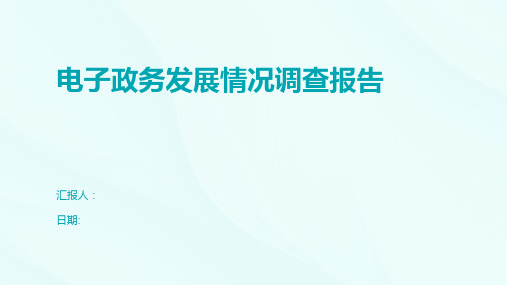 电子政务发展情况调查报告