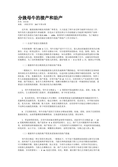 分娩母牛的接产和助产