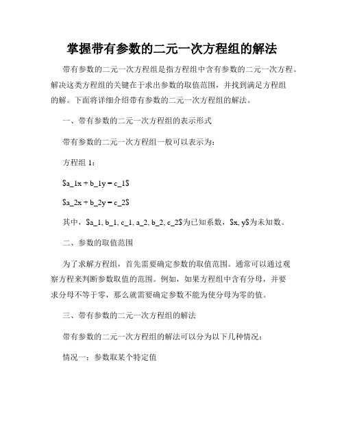 掌握带有参数的二元一次方程组的解法