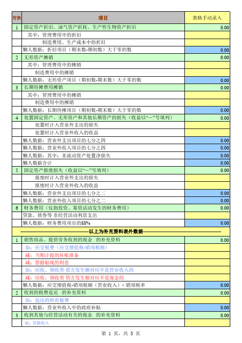 现金流量表 模板 