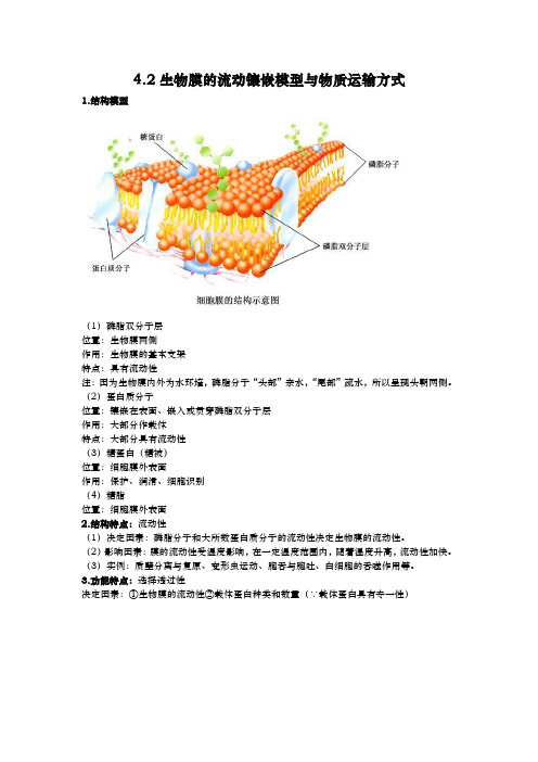 高中生物必修一知识点总结-4.2生物膜的流动镶嵌模型