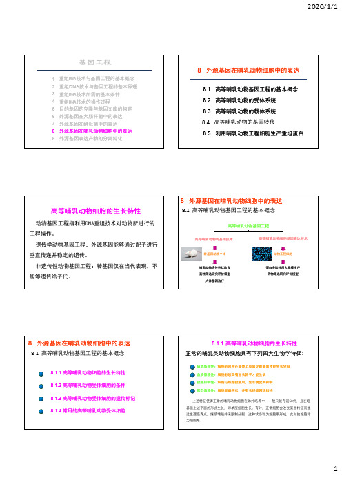 基因工程-外源基因在哺乳动物细胞中的表达