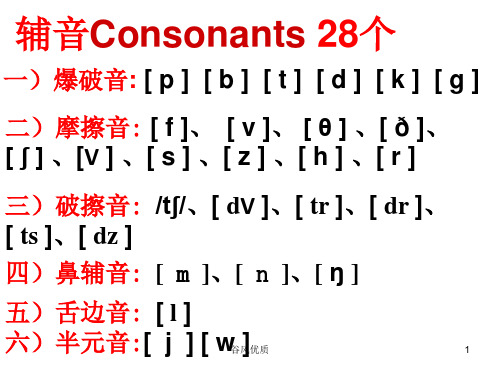 4爆破音摩擦音和破擦音(行业研究)