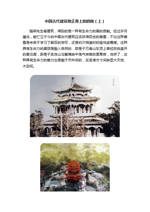 中国古代建筑物正脊上的鸱吻（上）