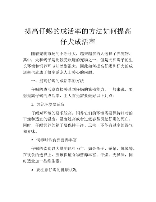 提高仔蝎的成活率的方法如何提高仔犬成活率