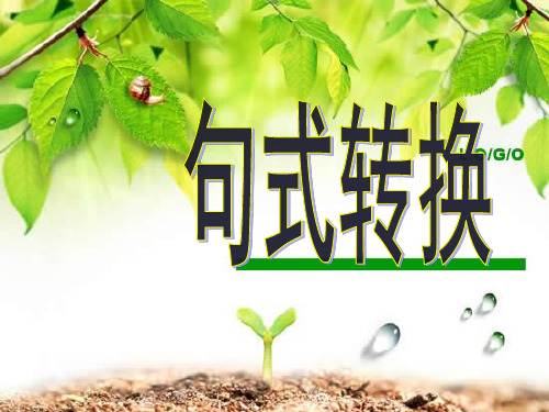 六年级小升初语文句式变换