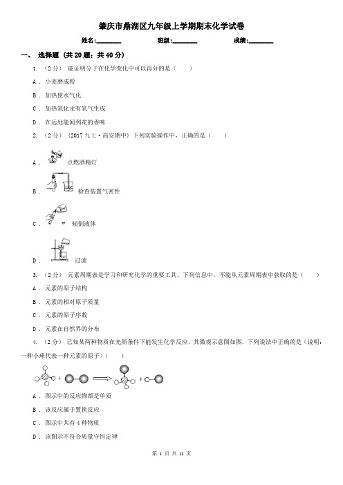 肇庆市鼎湖区九年级上学期期末化学试卷