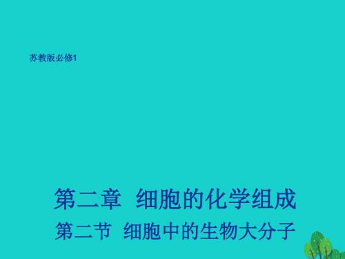 高中生物第二章细胞的化学组成2.2细胞中的生物大分子课件苏教版必修1