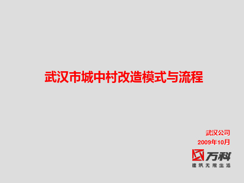 武汉市城中村改造模式与流程ppt课件