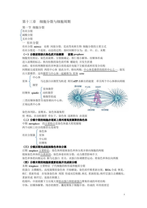 细胞生物学 第十三章  细胞分裂与细胞周期 提纲