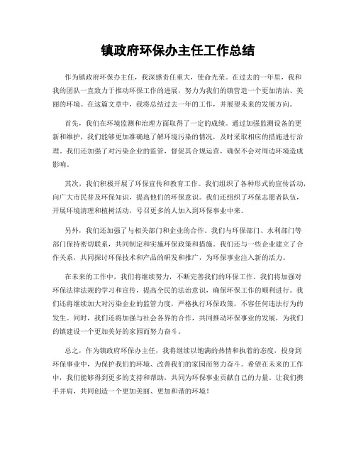 镇政府环保办主任工作总结