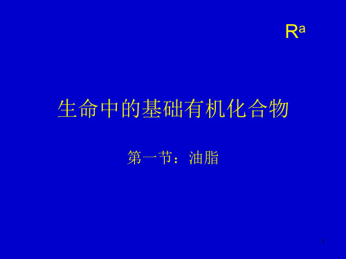 生命中的基础有机化合物