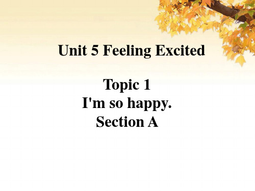八年级仁爱英语下unit5-topic1-sectiona课件