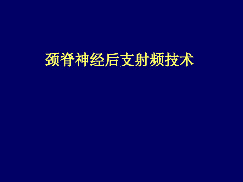 颈胸脊神经后支射频 PPT精品课件