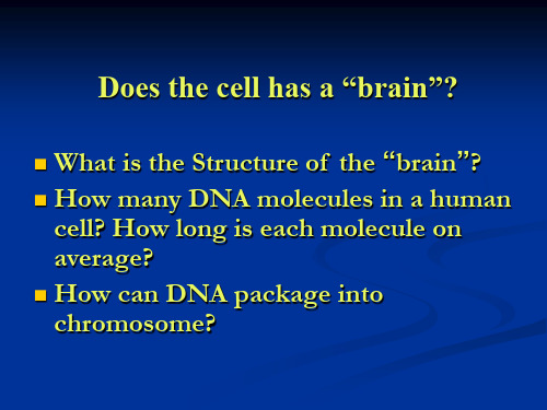 第八章 细胞核2.ppt  (廖)