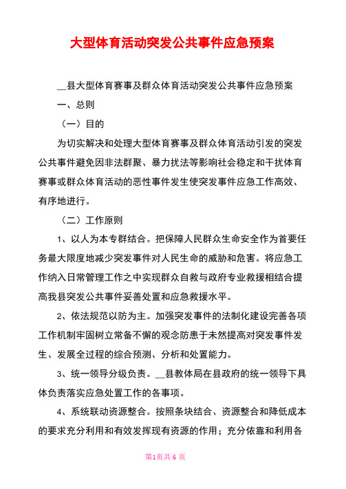 大型体育活动突发公共事件应急预案