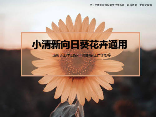 小清新向日葵花卉通用PPT模板