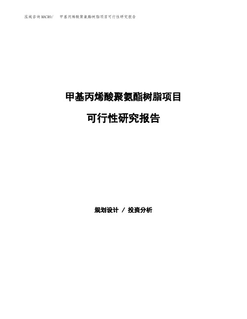 甲基丙烯酸聚氨酯树脂项目可行性研究报告发改委立项模板