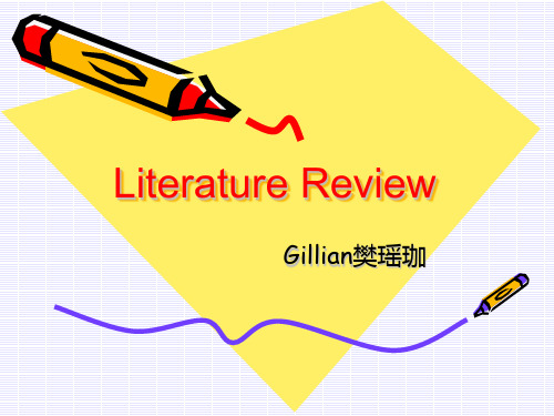 Literature Review文献综述