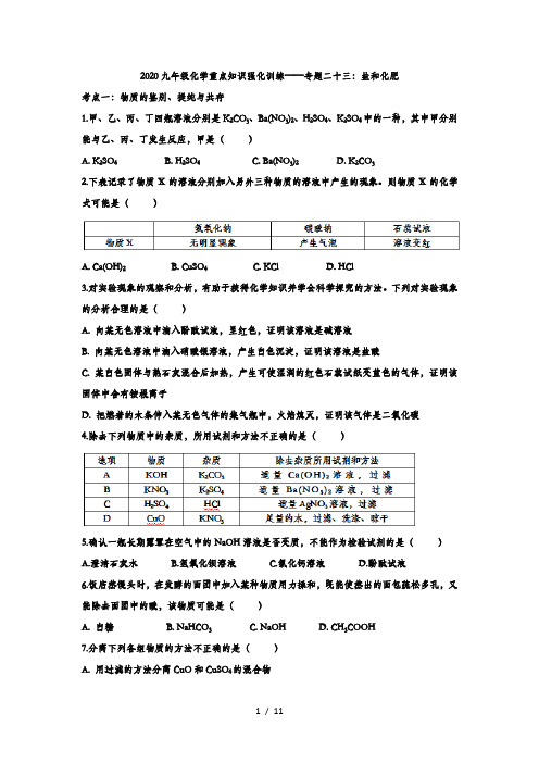 2020九年级化学重点知识强化训练——专题二十三：盐和化肥