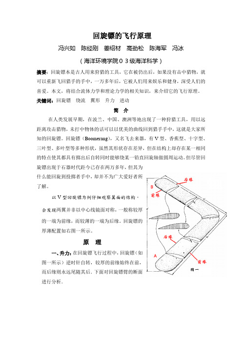 回旋镖的飞行原理