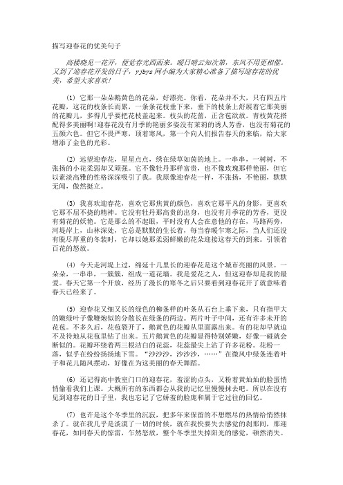 描写迎春花的优美句子