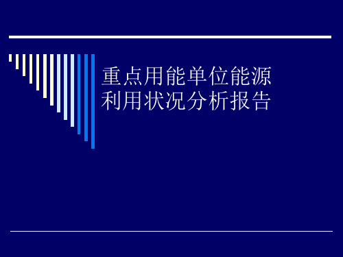 重点用能单位能源利用状况分析报告