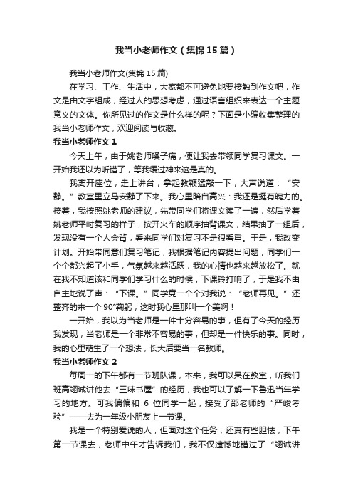 我当小老师作文（集锦15篇）