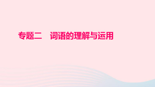 七年级语文上册专题二词语的理解与运用习题课件新人教版