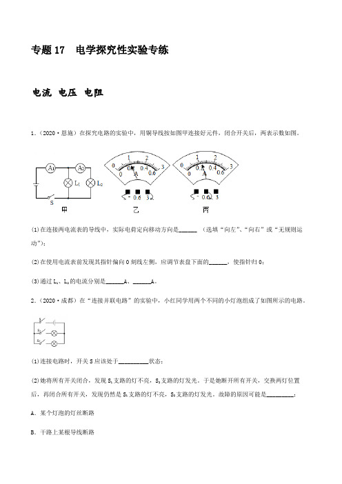 专项17  电学探究性实验专练(原卷版)-备战2021年中考物理精选考点专项突破题集