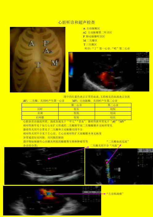 心脏听诊