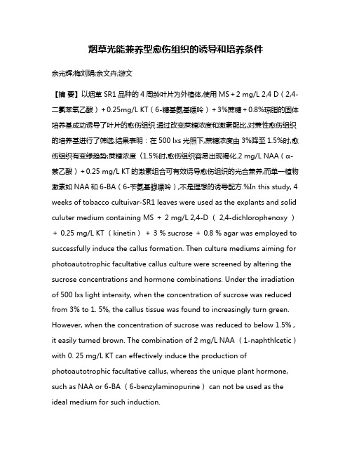 烟草光能兼养型愈伤组织的诱导和培养条件