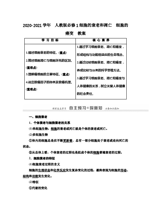 2020-2021学年  人教版必修1细胞的衰老和凋亡 细胞的癌变  教案