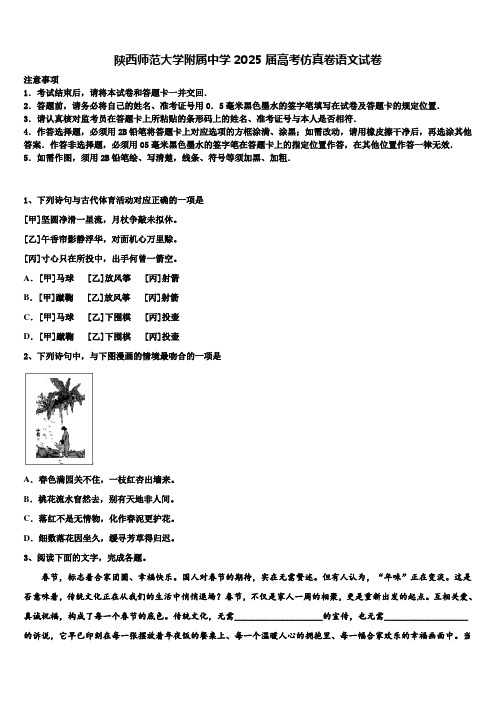 陕西师范大学附属中学2025届高考仿真卷语文试卷含解析