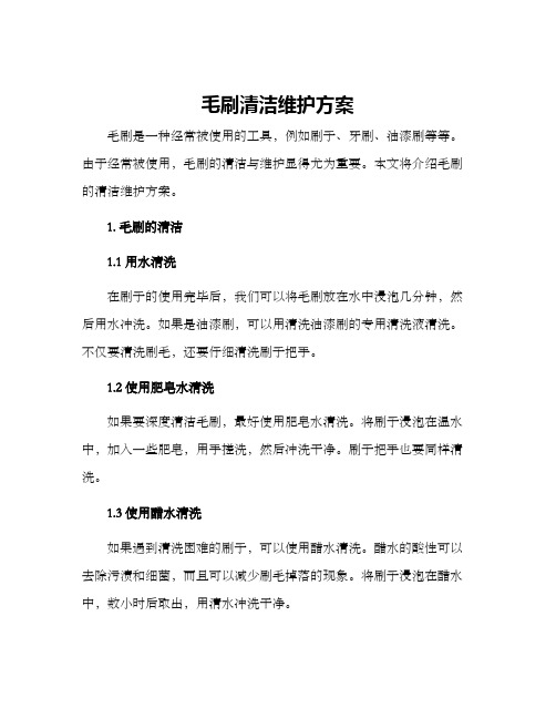 毛刷清洁维护方案