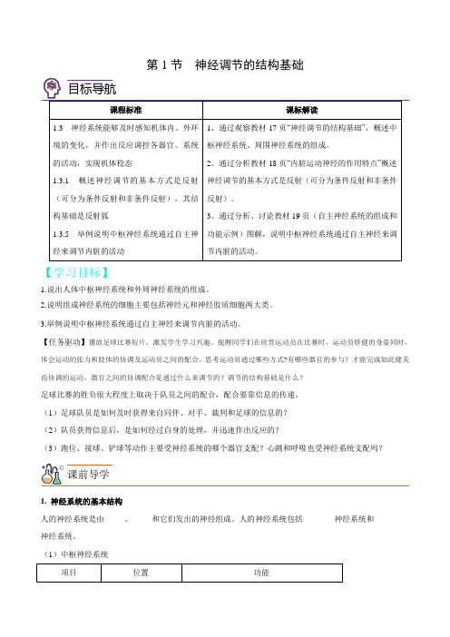 2.1神经调节的结构基础(学生版)-高二生物讲义(人教版2019选择性必修1)