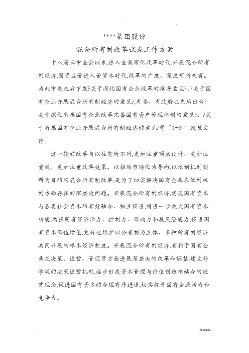 某公司混合所有制改革试点工作方案