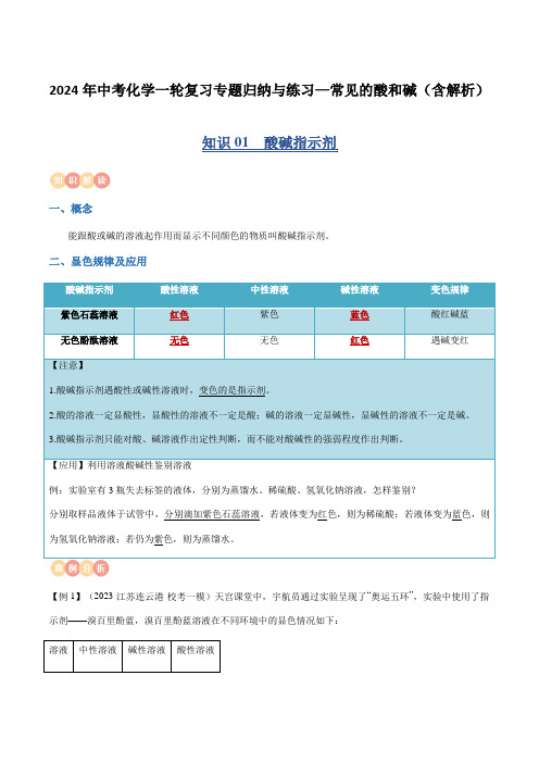 2024年中考化学一轮复习专题归纳与练习—常见的酸和碱(含解析)