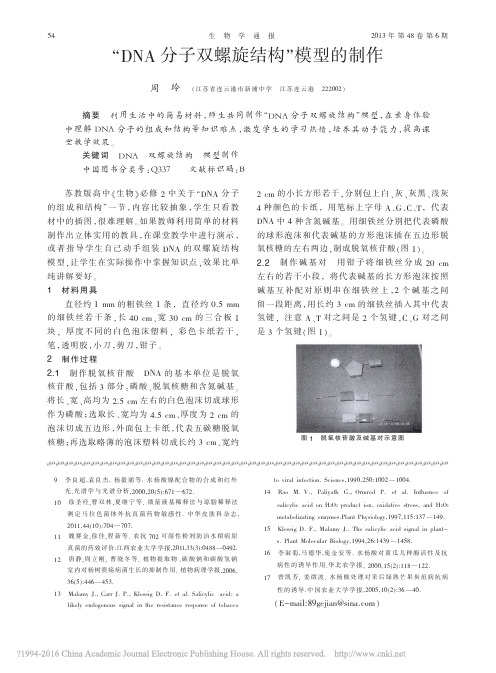 DNA分子双螺旋结构_模型的制作_周玲