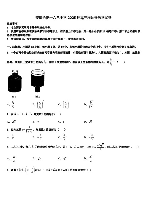 安徽合肥一六八中学2025届高三压轴卷数学试卷含解析