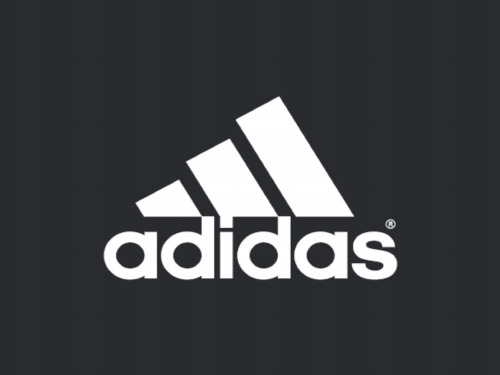 Adidas brand introduce