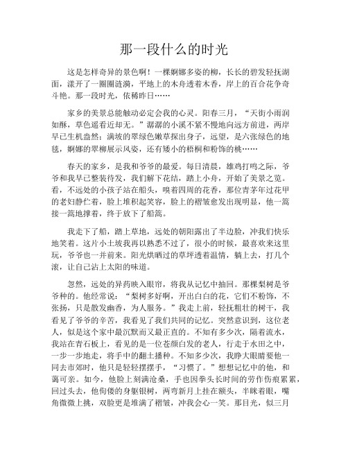 那一段什么的时光7篇