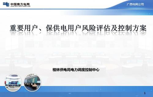 配网要用户、保供电用户风险评估及控制方案 培训-PPT课件