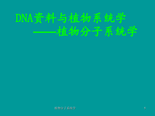 植物分子系统学 ppt课件