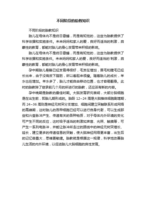 不同阶段的胎教知识